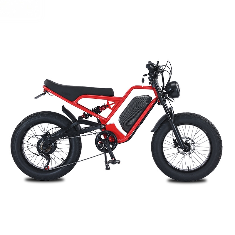 Batteria al litio RRE QQA 13Ah - 48V 1500W Rear Hub Motor With Battery recensione e prezzo